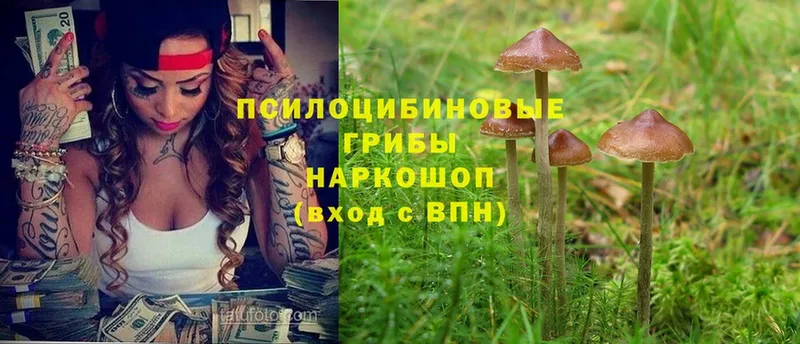 Галлюциногенные грибы Magic Shrooms  Кораблино 